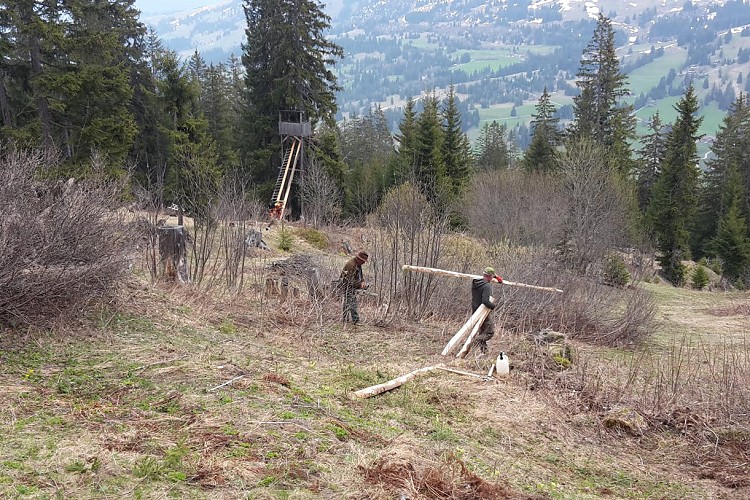 PHOTO 2020 02 18 12 20 05